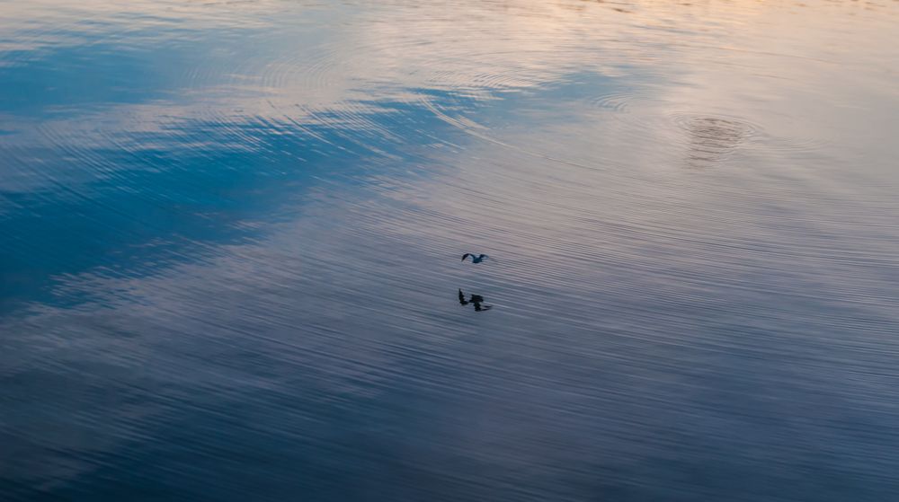 Фотография автора Олег Анатольевич Загорулько