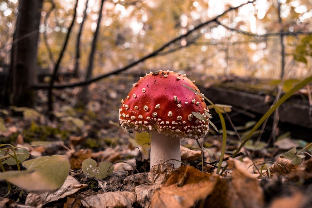 Photograph by Оксана Соболева