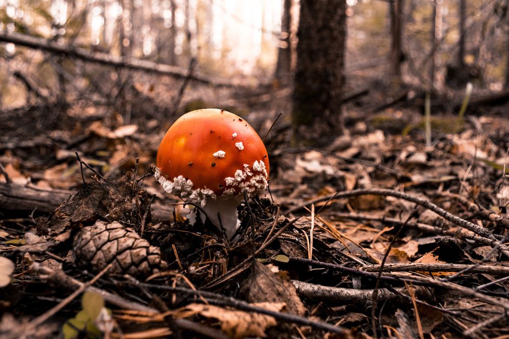 Photograph by Оксана Соболева