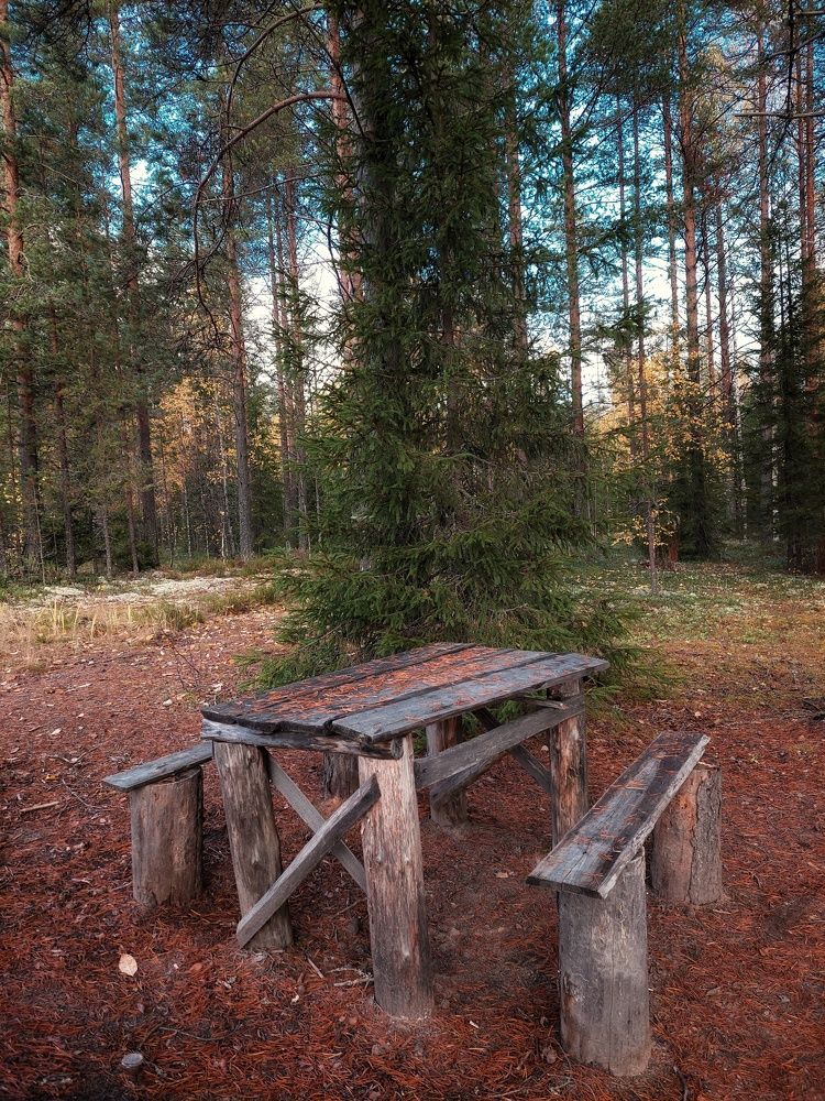 Photograph by Алёна Вороная