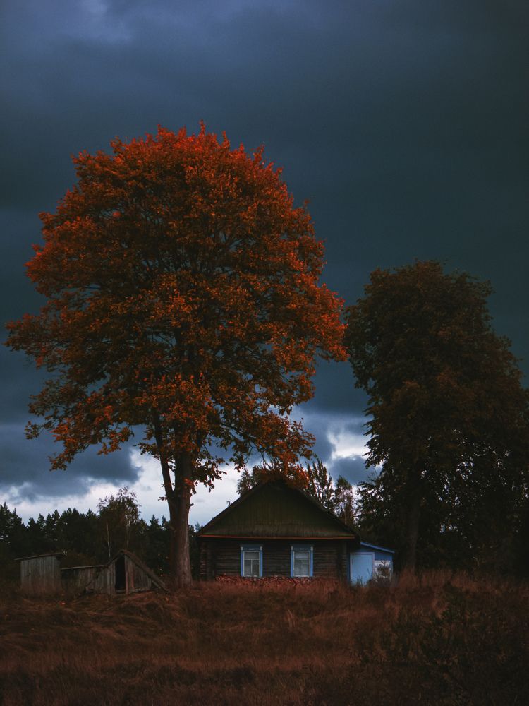 Фотография автора Владислав