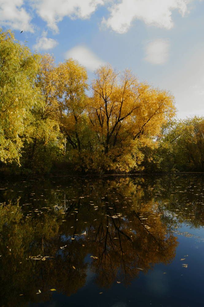 Photograph by Михаил Мостовой