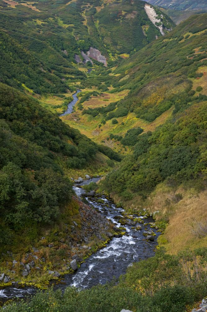 Приток Медвежий реки Левая Карымчина