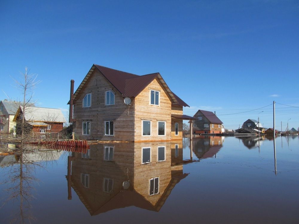 Photograph by Дина Чаица