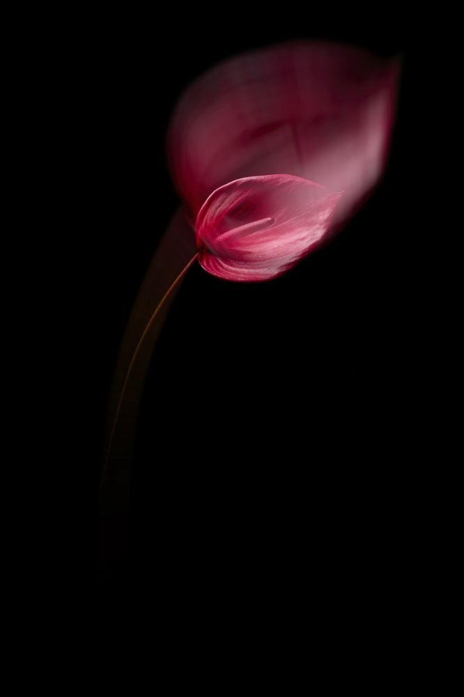 Photograph by hesamadin bagheri