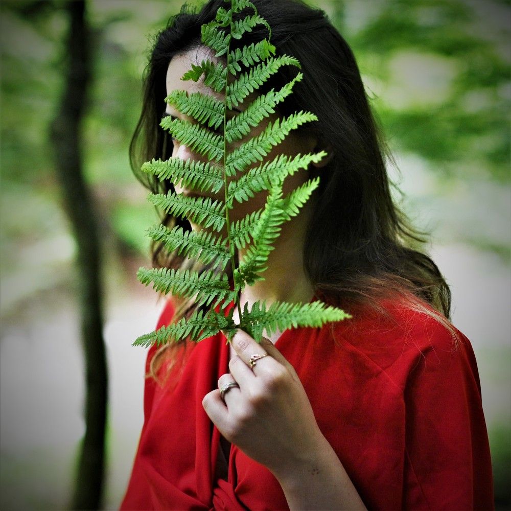 Photograph by Dušan Živkić