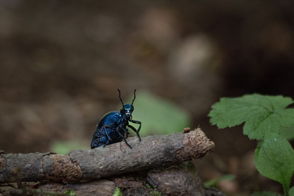 Photograph by Ольга Оверко