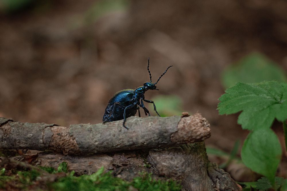 Photograph by Ольга Оверко