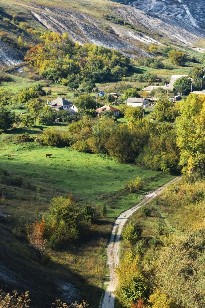 Осень в Осиново