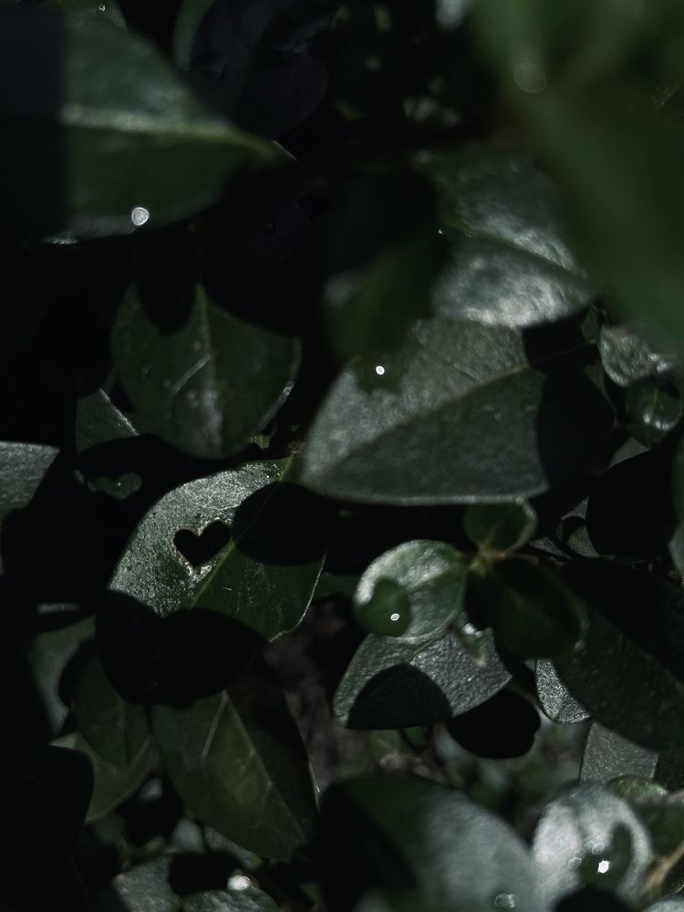 Photograph by Anna Mishina