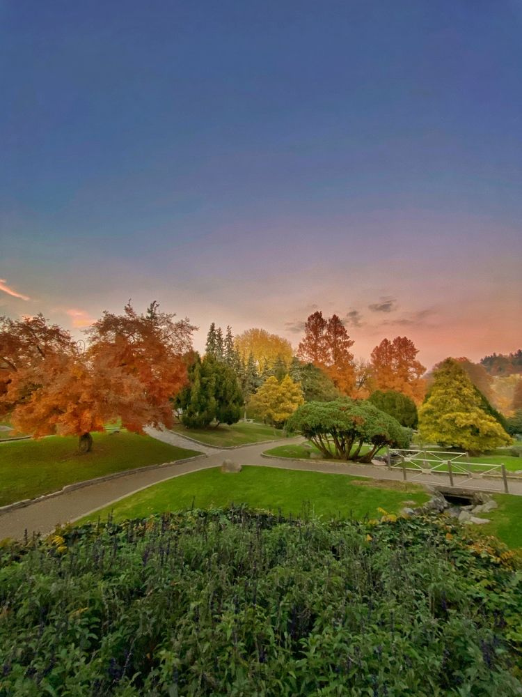 Photograph by Hutusoru Roberto