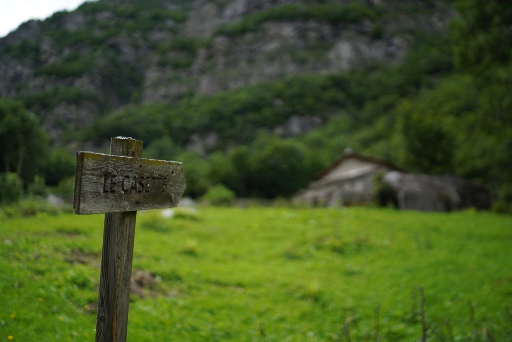 Photograph by Hutusoru Roberto