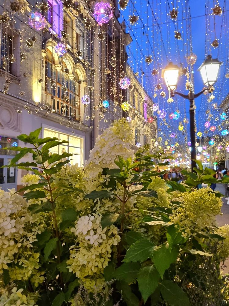 Photograph by Ангелина Шикина
