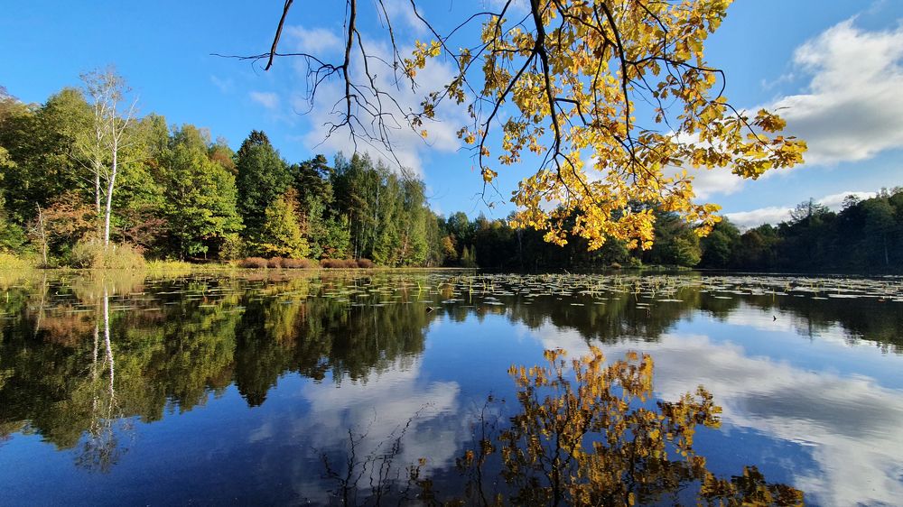 Photograph by Сергей Скворцов