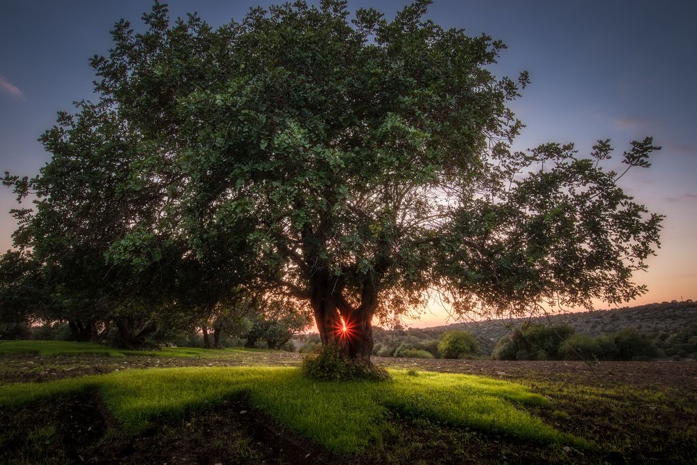 Photograph by Giancarlo Tinè