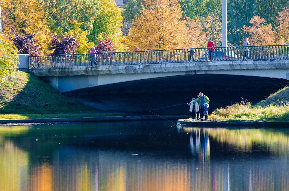 Photograph by Елена Аверина