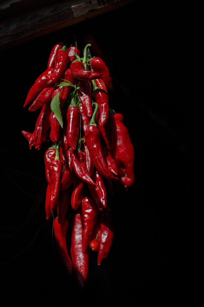 Photograph by Виктория Игонина