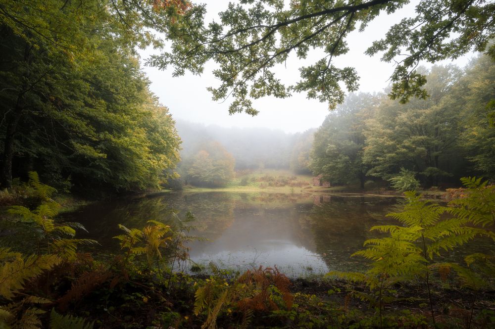 Photograph by Giancarlo Tinè