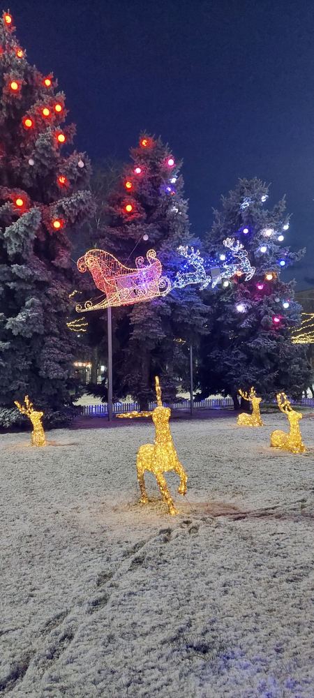 Photograph by Svitlana Usatenko