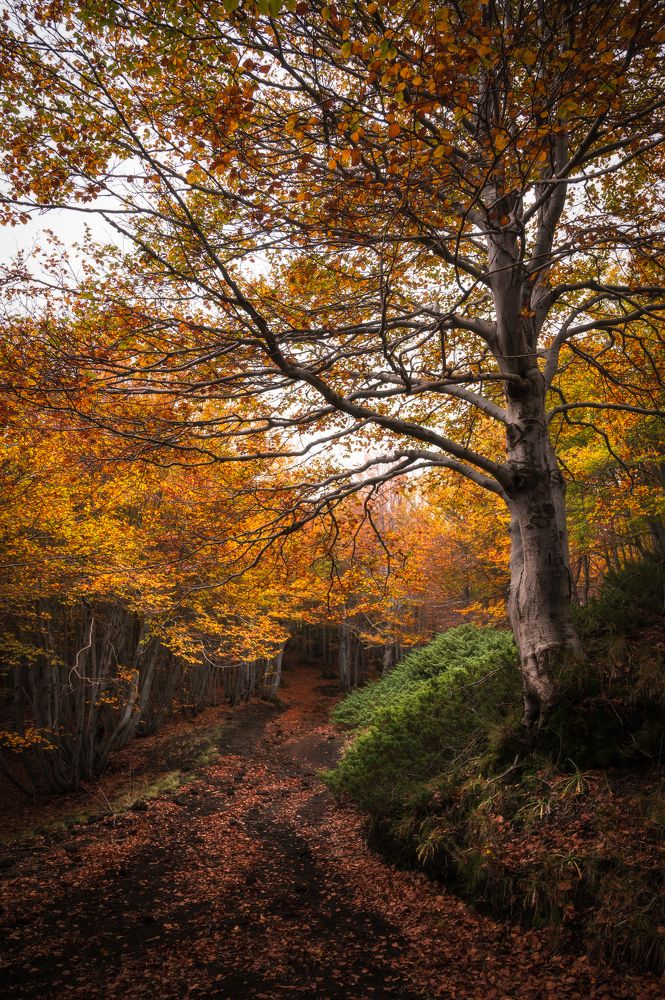 Photograph by Giancarlo Tinè