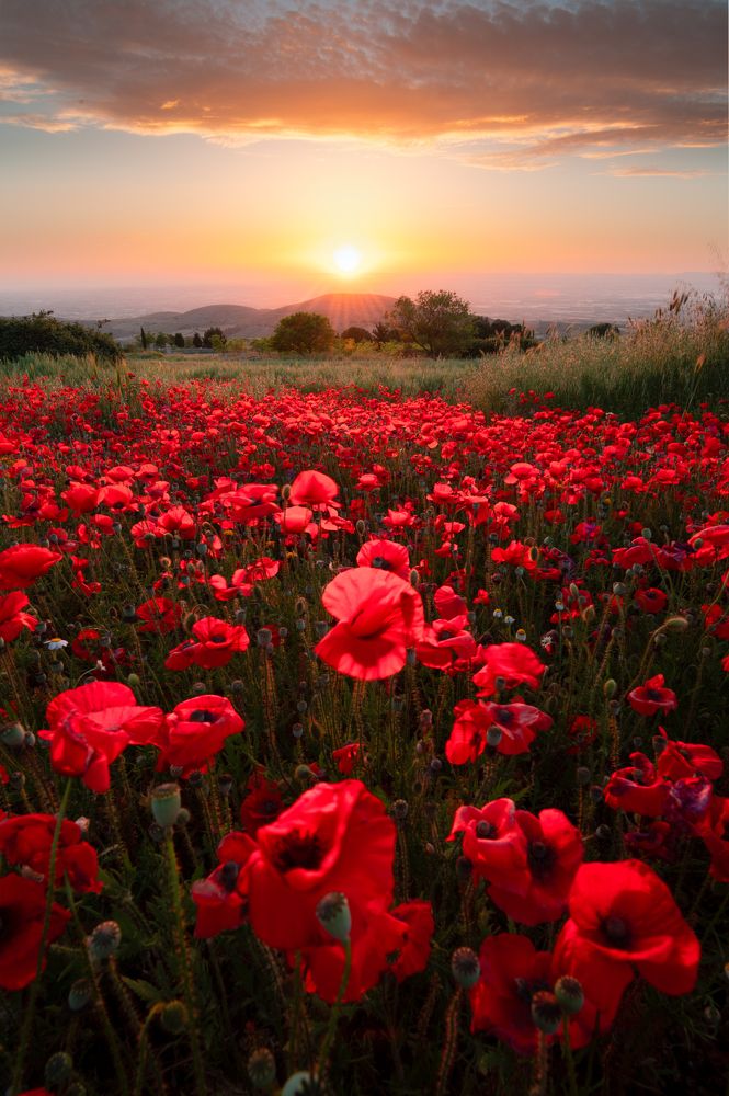 Photograph by Giancarlo Tinè