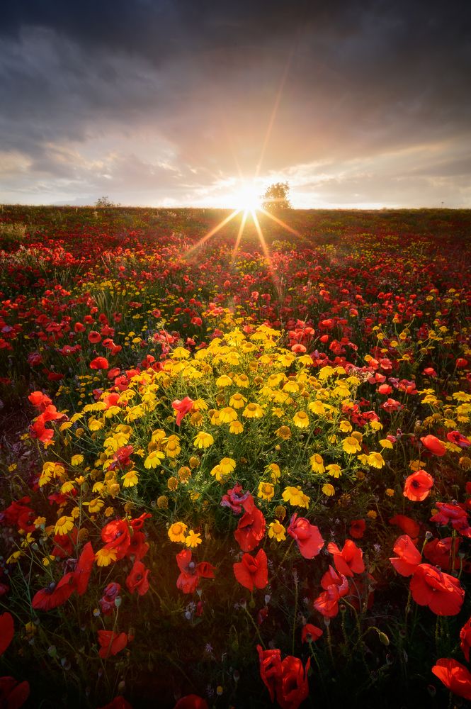 Photograph by Giancarlo Tinè