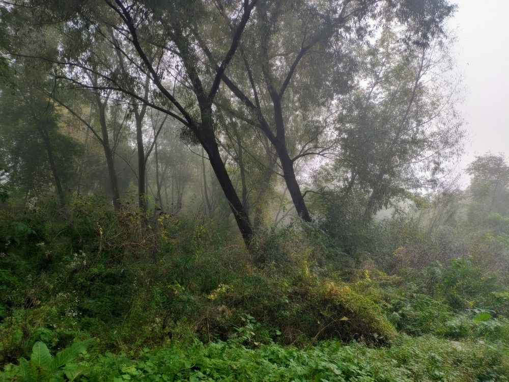 Photograph by Олександр Мирончук