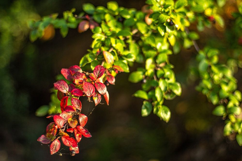 Photograph by Виталий Са