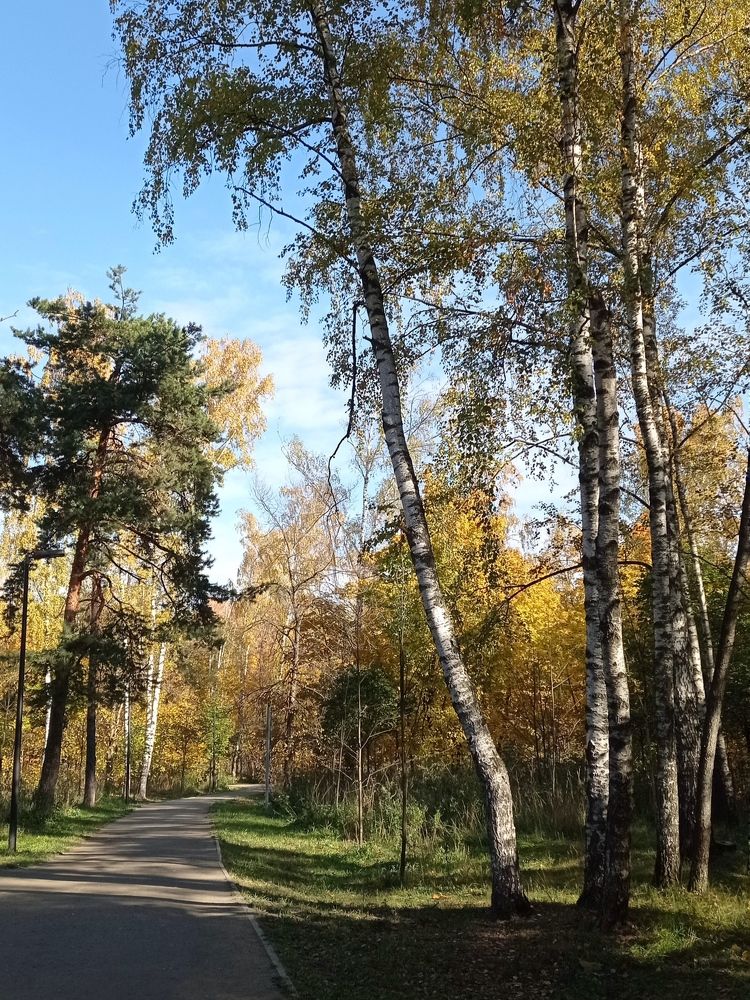 Photograph by Таня Вин