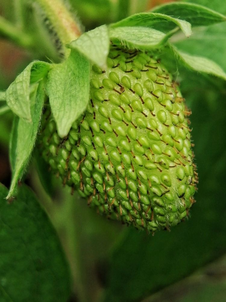 Фотография автора Fotolove Tasha