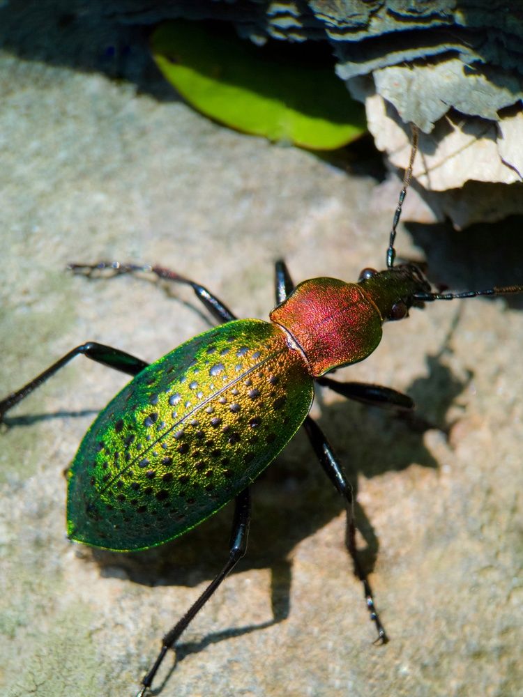 Фотография автора Fotolove Tasha