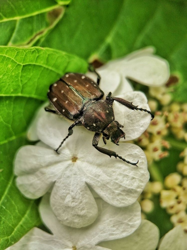 Фотография автора Fotolove Tasha