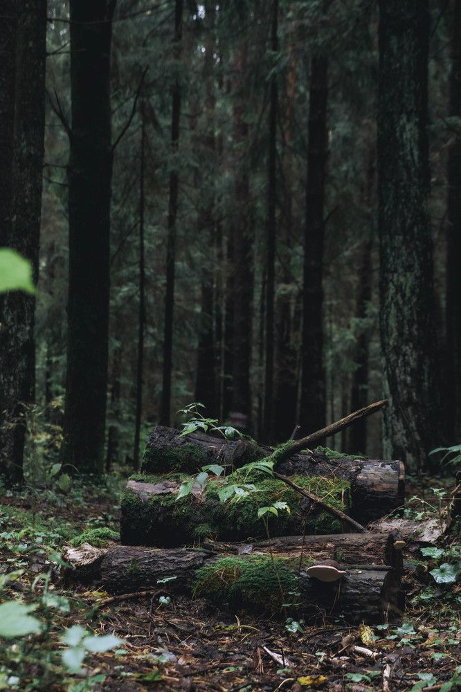 Photograph by Katya Slavich