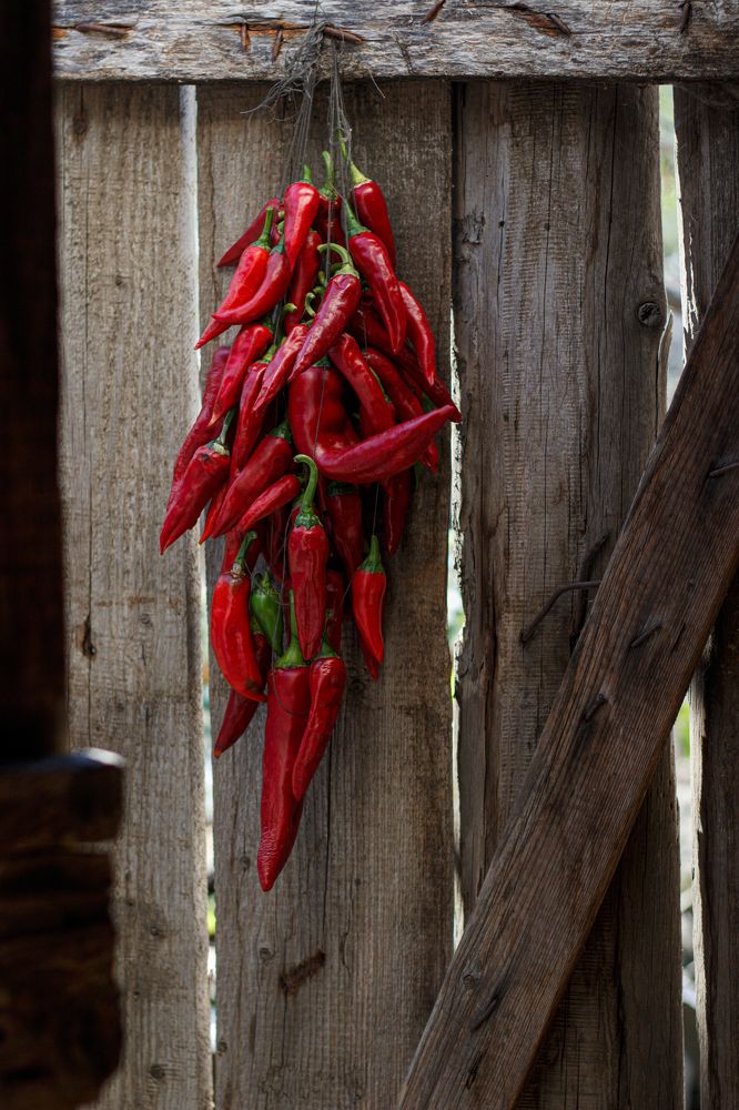 Photograph by Виктория Игонина