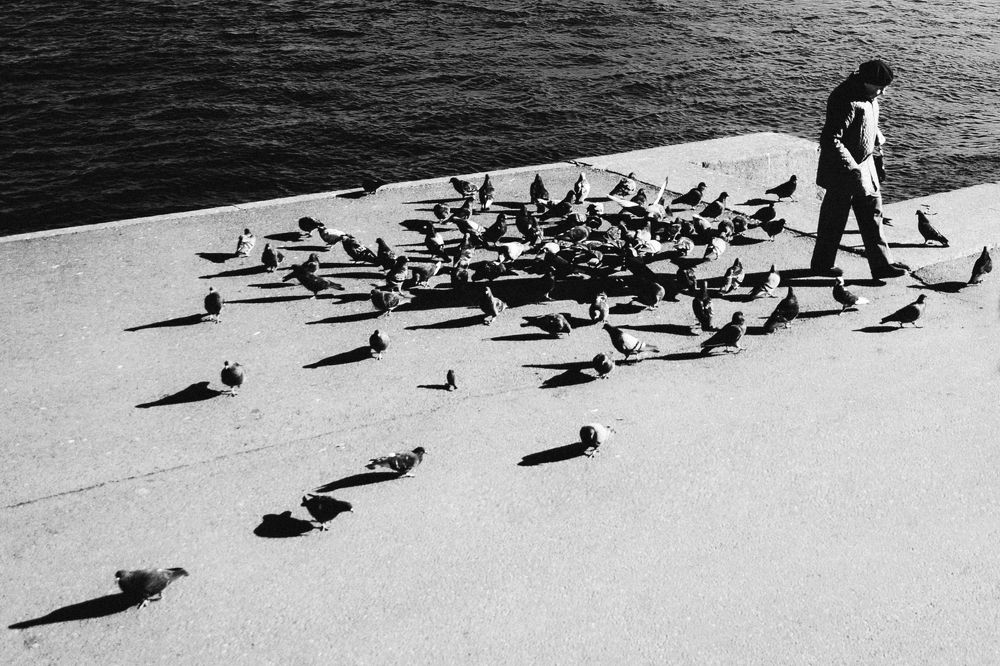 Фотография автора Alla Valevskaya