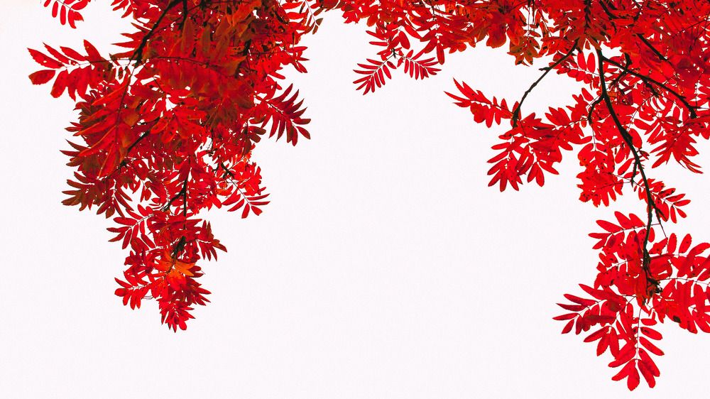 Photograph by Александр Фокин