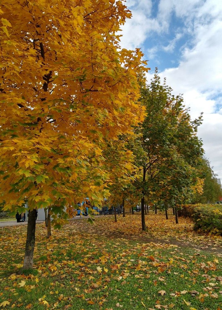 Photograph by Наталья