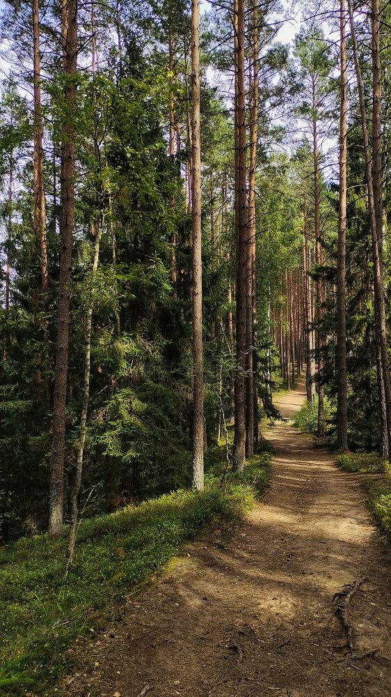 Photograph by Катерина