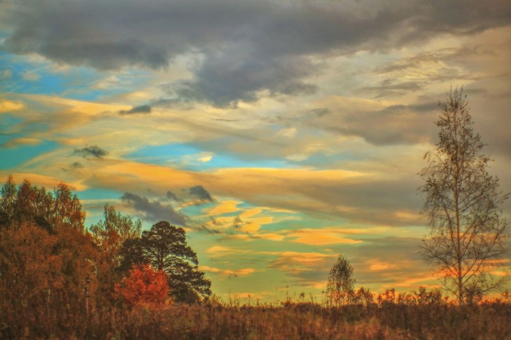 Photograph by AVDEEV NIKOLAY