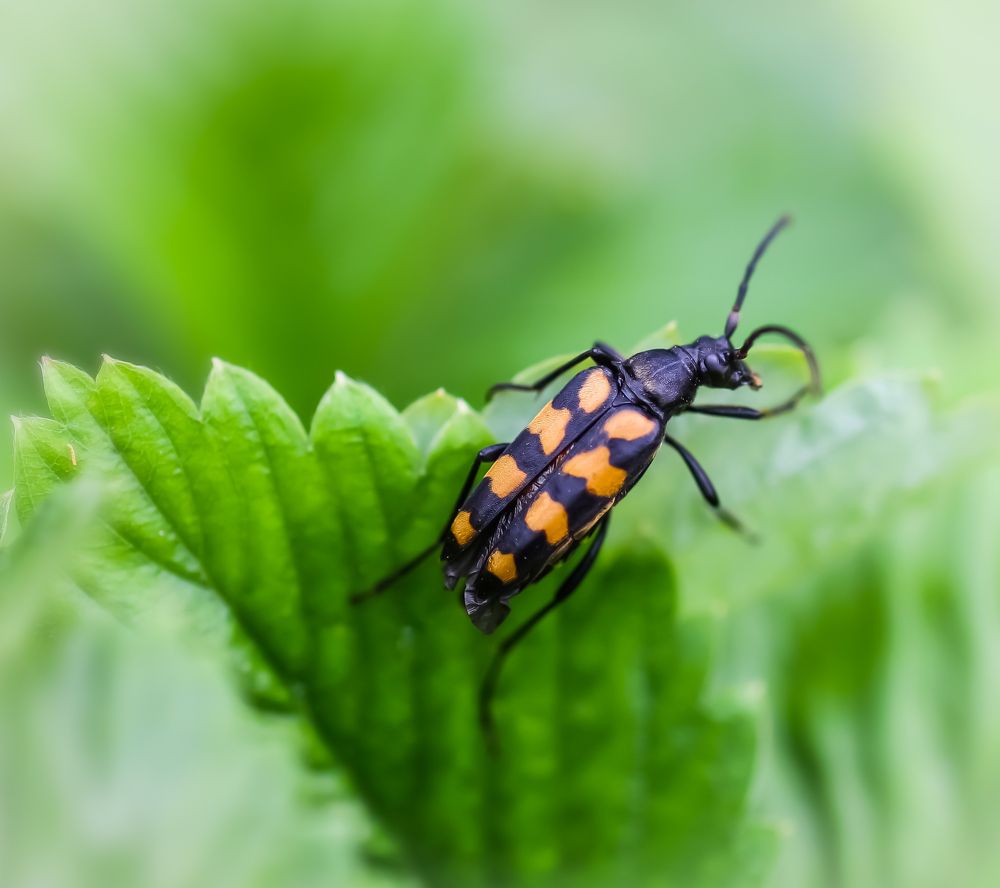 Photograph by Екатерина Вспышкина