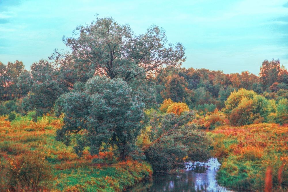 Photograph by AVDEEV NIKOLAY