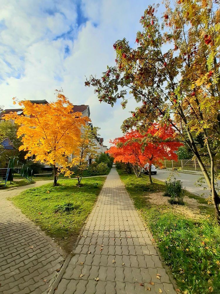 Photograph by Татьяна Смирнова