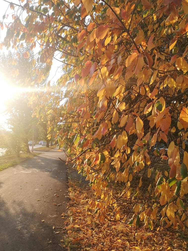 Photograph by Степан Сопегин