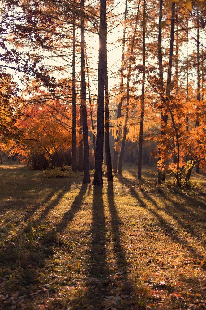 Photograph by Наталья Кузнецова