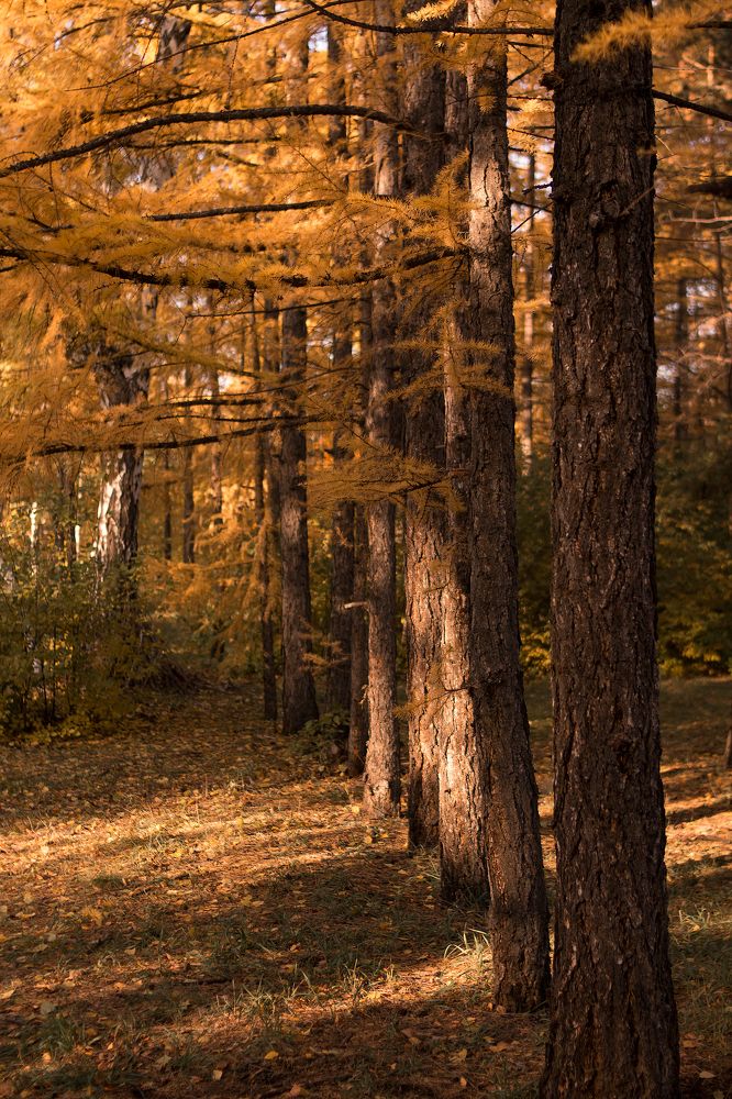 Photograph by Наталья Кузнецова