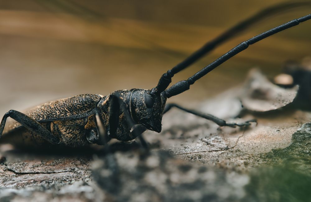 Photograph by Виталий Богачев