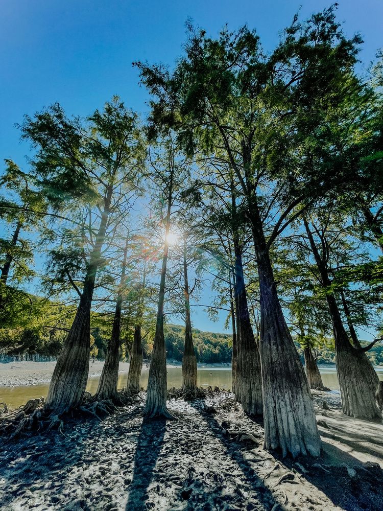 Фотография автора Oxana Yurasova