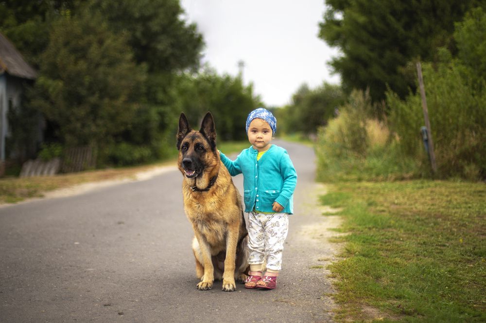 Photograph by ЕВГЕНИЙ СКАЛОЗУБОВ