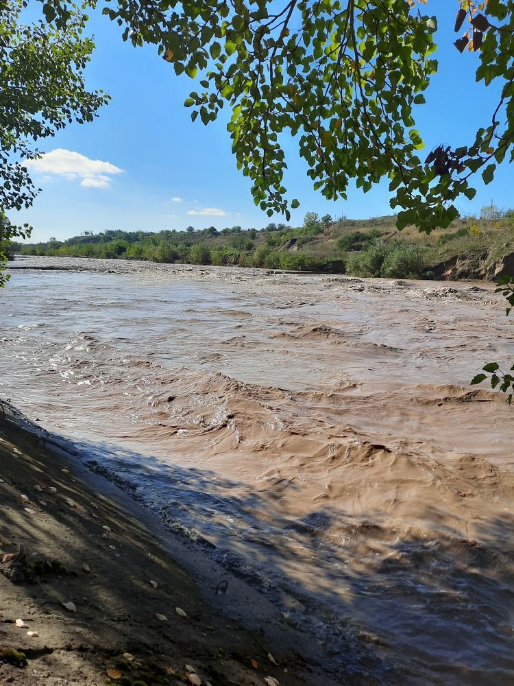 Photograph by Елена