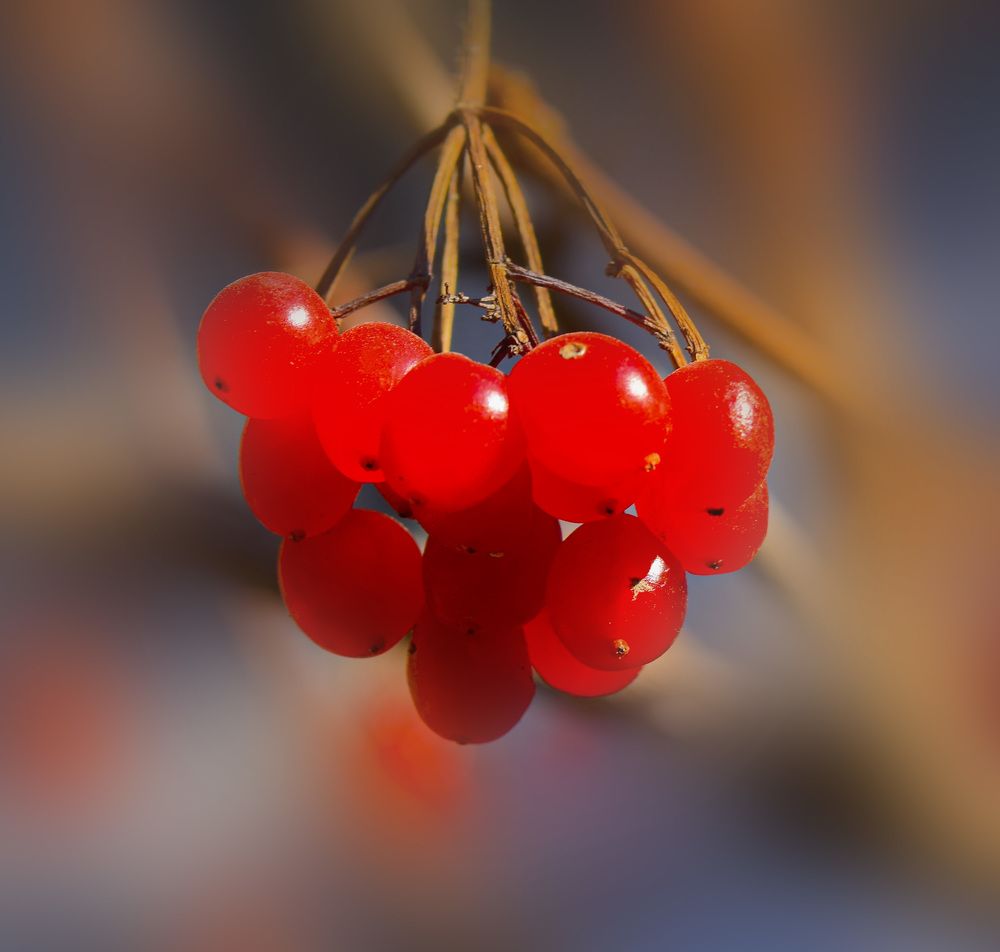 Photograph by Блохина Ольга